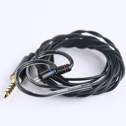 Tangzu Wan'er SG 2 II Dynamic Driver HiFi Detachable Cable IEM In-Ear USB-C Earphones with Mic