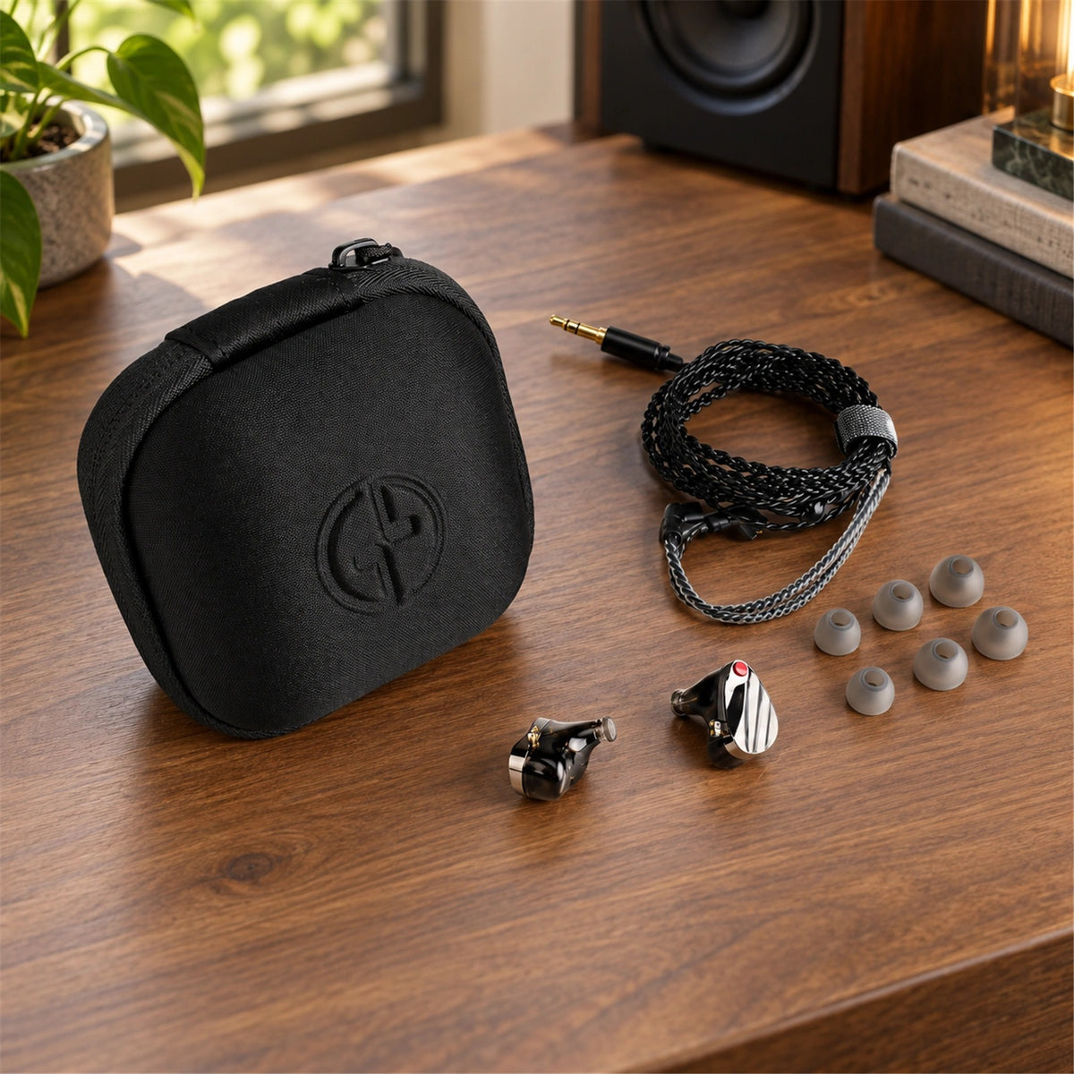 TINHIFI HUO Black HiFi IEM Hybrid Dynamic Balanced Armature Earphones Wired Detachable Cable No Mic